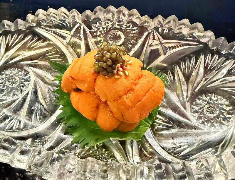 *Sea Urchin(SN)